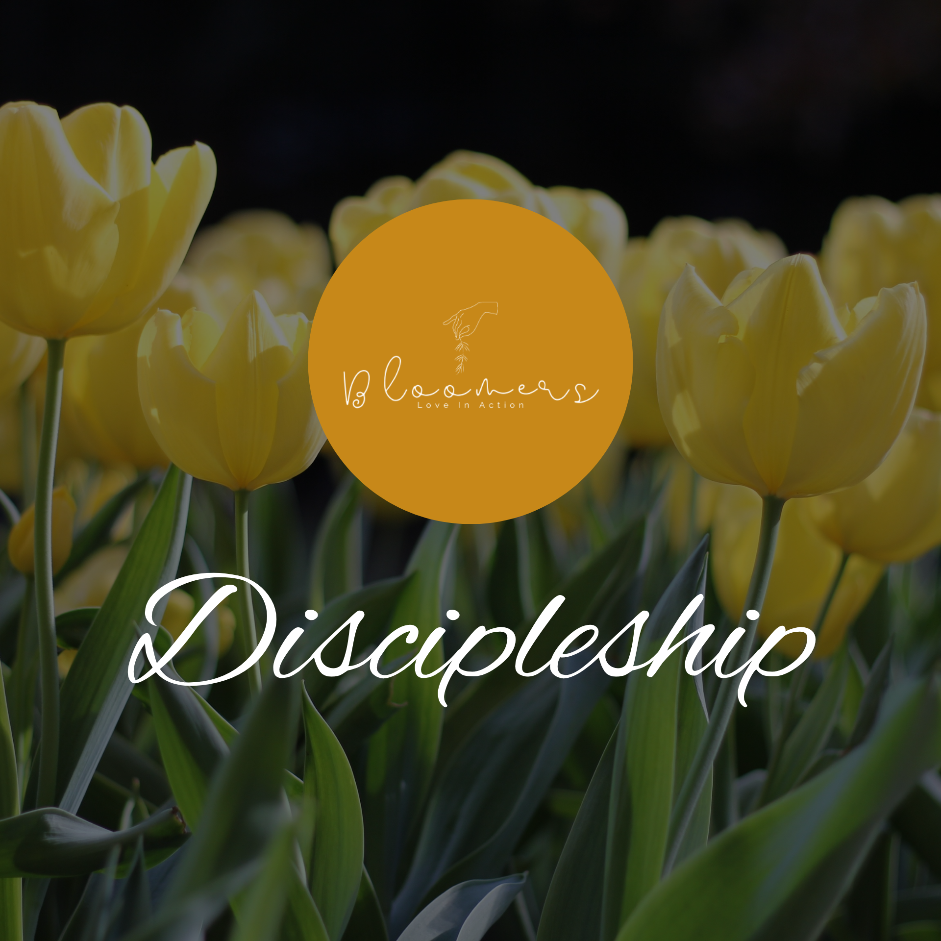 Discipleship Department